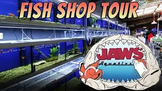 Fish Shop Tour - Jaws Aquatics Bedford UK