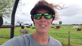 Circle C Farm talks Hurricane Nicole, Hurricane Ian, Organic produce, cows, calves and donkeys
