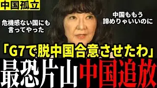【中国惨敗】G7で中国排除決定！片山大臣が中国依存の危険訴え中国絶体絶命