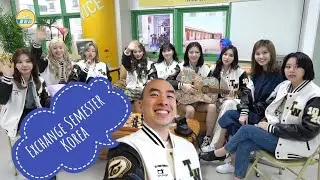 My Exchange Semester in Korea! Tips for Students in Korea