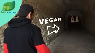 🌱 Est-il DANGEREUX de devenir vegan (&eacute;tudes) ?