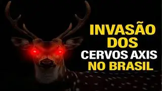 A INVAS&Atilde;O SILENCIOSA: O Cervo Axis est&aacute; Destruindo o Brasil?
