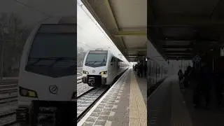 Amsterdidn&rsquo;t [ Echt Roermond Weert ] #trains #snowfall #travelfail