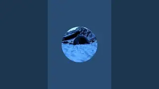 INDIAN CAMPER BADRI is live!