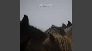 Jumping In