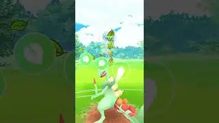 Mega Sceptile Vs Mega Altaria Dragon Battle in #pokemongo