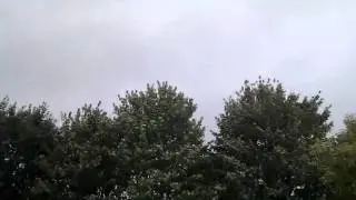 Moderate Breeze