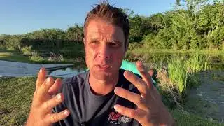 How to Create Hyperimmune Colostrum
