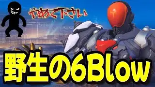野生の6Blowとマッチングしたら俺のアンチにチクチク言葉で攻撃されたww 【オーバーウォッチ2】