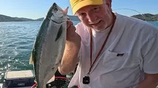 Whiskeytown Lake Kokanee. #PaulinaPeakTackle.