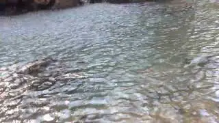 El agua de La Barranca Huentittan