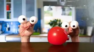 Eggward the puppet learns Faithfulness