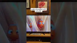 ЗНАЕТЕ ЛИ ВЫ ЭТО О РЫБЕ-КЛОУНЕ ИЗ МУЛЬТФИЛЬМА &laquo;В ПОИСКАХ НЕМО&raquo;?