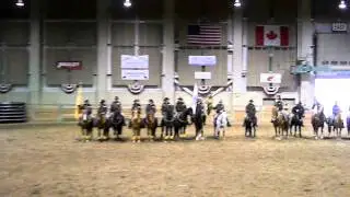 Michigan Mounted Police 4