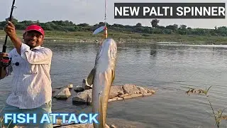 NEW PALTY SPINNER BEST RESULT. #spinners #fishingvideo #paltispinner #videos.