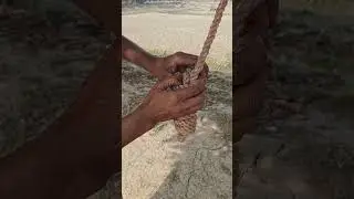 Most Useful Rope Knot Ever 👍👍#shorts #ropeknot #strongknot #outdoors