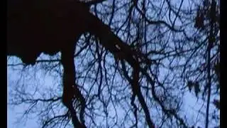 Kip door het pannetje deel 1