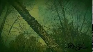 A~BELL - Небасхіл у галінах дрэў (Firmament in tree branches)