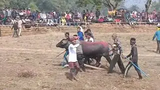 মুক্তাপুর আসর থেকে সরাসরি লাইভ দেখুন।।