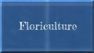 Floriculture