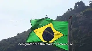4 Key Features of Brazil Trademark System [Video 20] #trademark #trasomark #brazil #diy