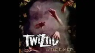 Twiztid-Light n' Truth