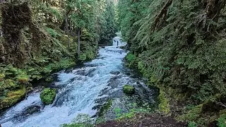 Hike to Koosah and Sahalie Falls in Sisters, Oregon near Bend! Willamette National Forest