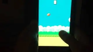 Flappy Bird Didn't  Break Phone This Time 😃
