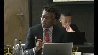 Адвокат Тембека Нгкукаитоби допрашивает судью на собеседованиях в АО.