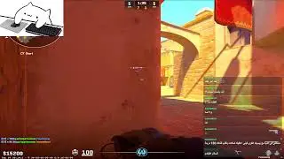 CS2 | اخر بث مباشر في القناة ؟