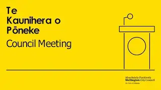 Te Kaunihera o Pōneke | Council - 20 November 2025