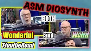 ASM Diosynth Both Wonderful And Weird