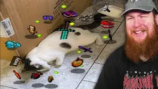 Мемы, которые меня рассмешили 💀