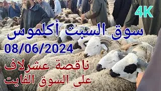 مباشرة من سوق السبت أكلموس أثمنة الغنم والماعز اليوم 08/06/2024