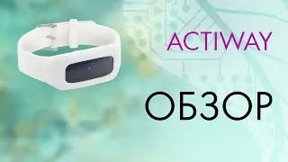 1. ACTIWAY.  Обзор.