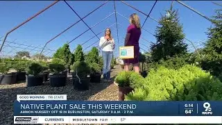 Boone County native plant sale offers discounts and benefits local wildlife