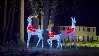 Обзор Costco Deer Family 2025