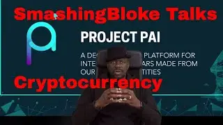 SmashingBloke рассказывает о проекте PAI