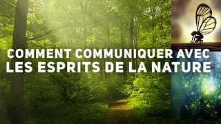 Comment communiquer avec les esprits de la nature