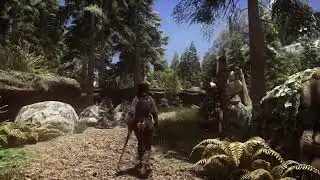 A walk through Skyrim with Skyward Reshade and Community Shaders