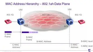 Extreme Networks Stealth Networking Design Guide