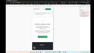 The Wipster Brother Footer Trolling Bug, on resize