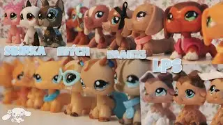 Sbírka mých LPS main5!/ LPS Em. ma