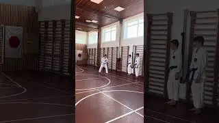 Punch-kick combination by Watanabe-sensei #karate #kumite #空手道 #shotokan #日本空手松涛連盟