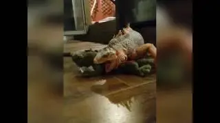 Slow motion attack