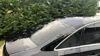 Shelby Ceramic Coating Bucket Challenge