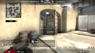 Epic Flashbang Kill