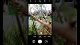 Belajar Photography MACRO Pake Handphone #Shorts