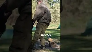 📈 As&iacute; es como crece un Rottweiler: De peque&ntilde;o 