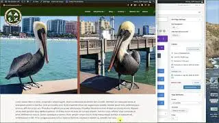Divi Slider Basics
